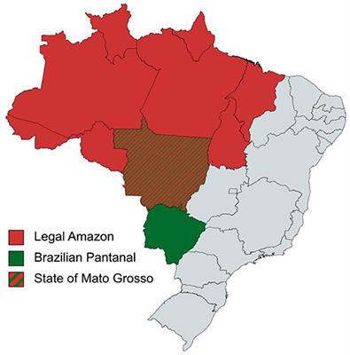 Understanding the Greenhouse Gas Impact of Deforestation Fires in Indonesia and Brazil in 2019 and 2020